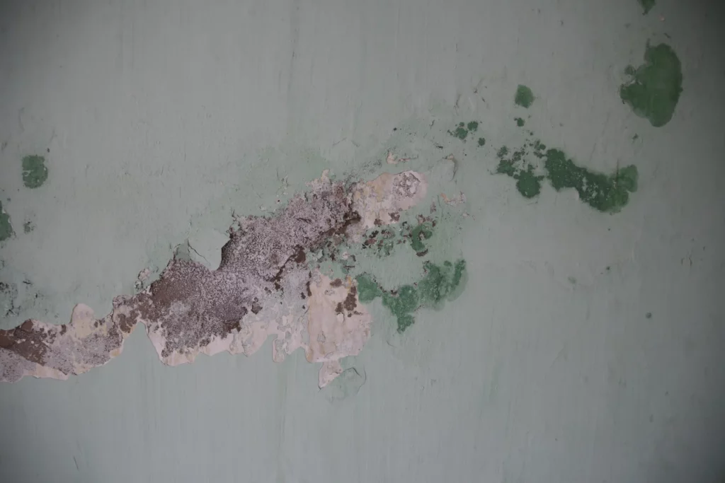 mold-moisture-walls