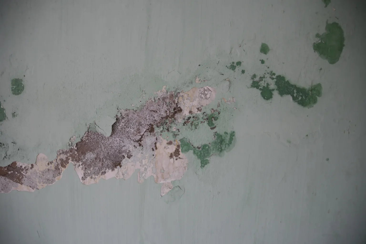 Bild einer feuchten Wand