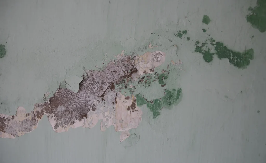 Feuchte Hauswand mit Schimmel